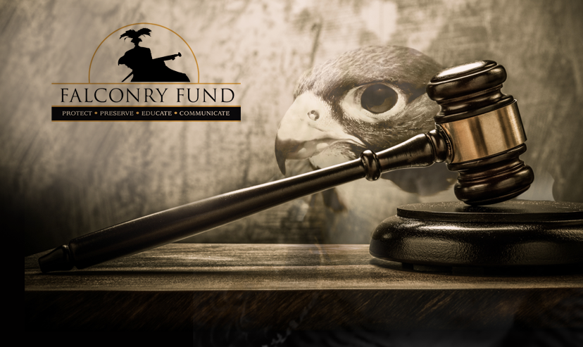 NEW Falconry Fund Advocacy