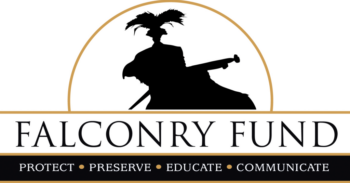 Falconry Fund Converted Final BLACK