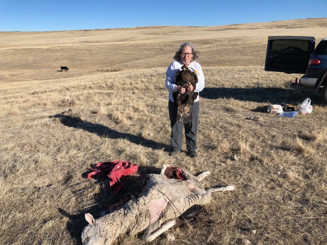 Jocelyn and Beautiful Haggard Golden