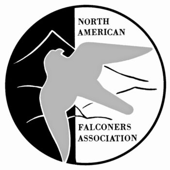 NAFA logo